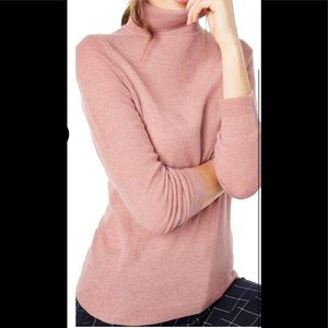 COPY - Charter Club Turtleneck NWT